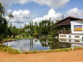 jardim-botanico-bate-recorde-de-publico-em-2025;-veja-os-numeros