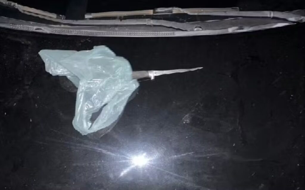 mulher-e-morta-a-facadas-apos-discussao-com-companheiro-em-goias