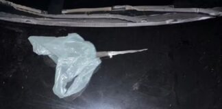 mulher-e-morta-a-facadas-apos-discussao-com-companheiro-em-goias