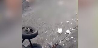 motorista-bebado-atropela-e-mata-ambulante-na-madrugada-de-natal-em-sp