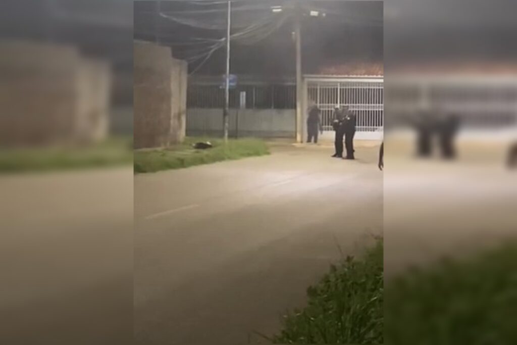 pit-bulls-pularam-de-carro-em-movimento-antes-de-atacar-crianca-e-pm