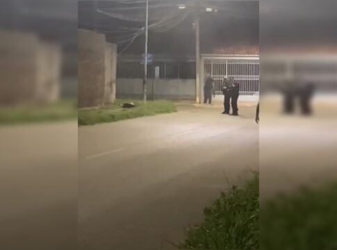 pit-bulls-pularam-de-carro-em-movimento-antes-de-atacar-crianca-e-pm