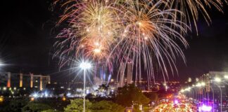 fogos-de-artificios-com-estampido-sao-risco-para-animais-e-pessoas