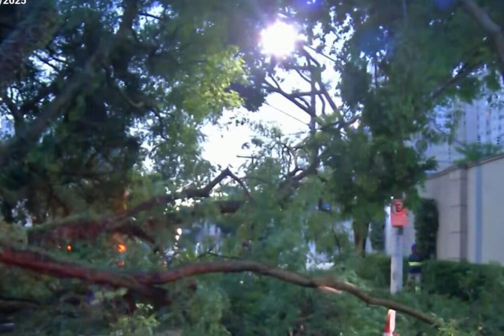arvore-cai-sobre-carro-e-deixa-homem-ferido-apos-temporal-em-sao-paulo