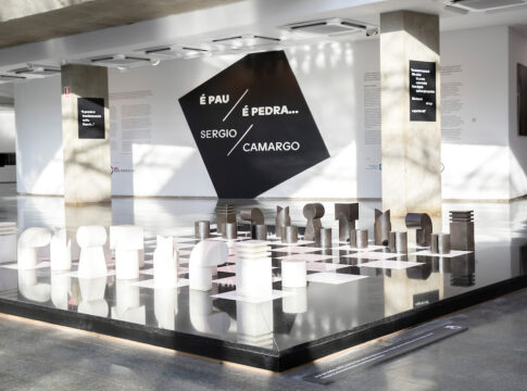 celebrado-em-mostra-gratuita-no-df,-sergio-camargo-tem-geniais-criacoes-espalhadas-em-todo-o-mundo