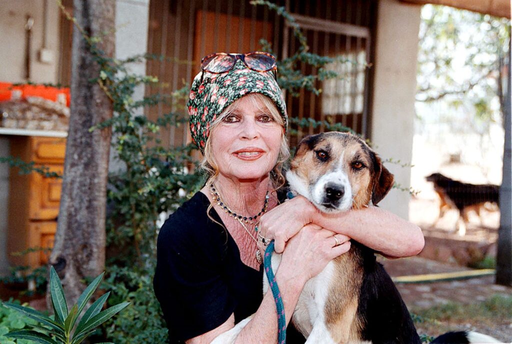 morre-brigitte-bardot,-icone-do-cinema-frances,-aos-91-anos