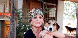 morre-brigitte-bardot,-icone-do-cinema-frances,-aos-91-anos