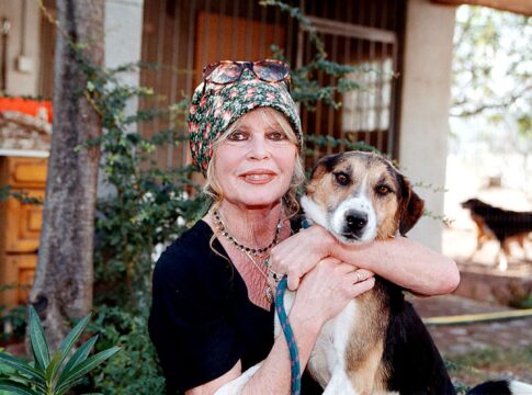 morre-brigitte-bardot,-icone-do-cinema-frances,-aos-91-anos