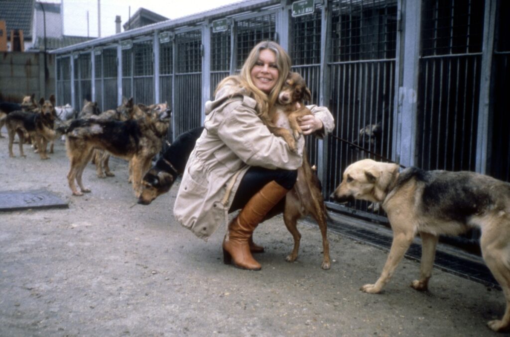 atriz-brigitte-bardot-foi-ferrenha-ativista-em-defesa-da-causa-animal
