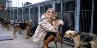 atriz-brigitte-bardot-foi-ferrenha-ativista-em-defesa-da-causa-animal