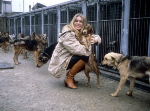 atriz-brigitte-bardot-foi-ferrenha-ativista-em-defesa-da-causa-animal