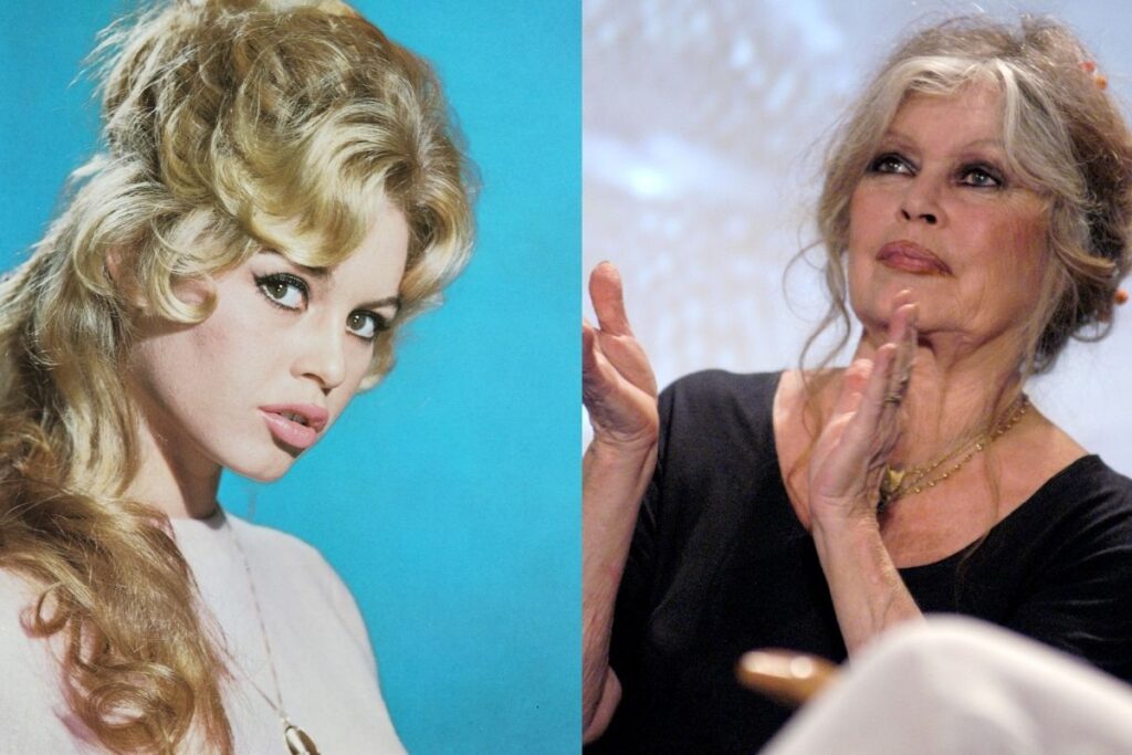 adeus,-brigitte-bardot!-relembre-os-filmes-iconicos-da-lenda-do-cinema
