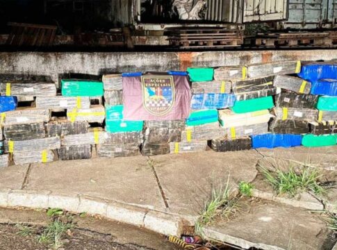 parecia-grao,-mas-era-erva:-pm-acha-1,3-tonelada-de-droga-em-caminhao