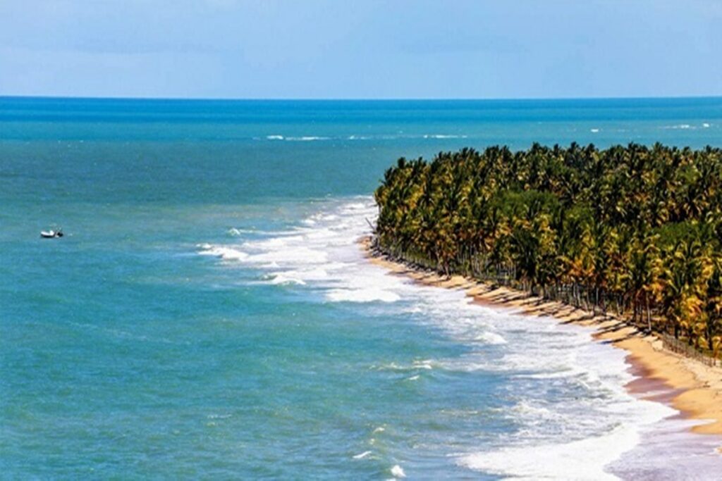 alta-temporada:-aeroporto-em-trancoso-(ba)-tem-capacidade-esgotada