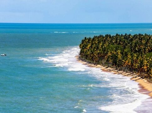 alta-temporada:-aeroporto-em-trancoso-(ba)-tem-capacidade-esgotada