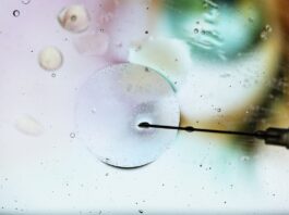 mesmo-com-barreiras,-ia-aumenta-a-precisao-da-reproducao-assistida