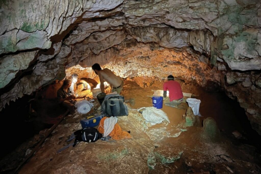 abelhas-antigas-faziam-ninhos-dentro-de-ossos-em-caverna-caribenha