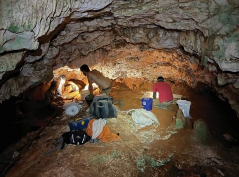 abelhas-antigas-faziam-ninhos-dentro-de-ossos-em-caverna-caribenha