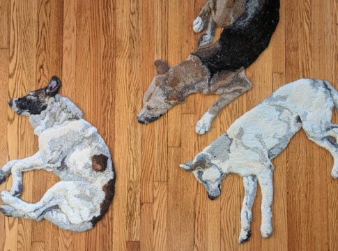 tapetes-realistas-que-imitam-caes-chocam-internautas:-“morbido”