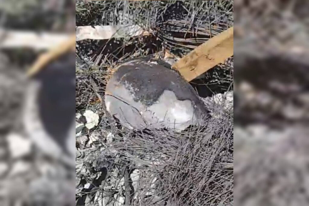 ritual-satanico:-advogado-esquartejou,-queimou-corpo-e-usou-rastelo