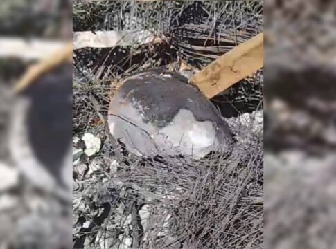 ritual-satanico:-advogado-esquartejou,-queimou-corpo-e-usou-rastelo