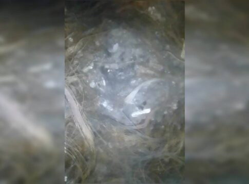 o-que-a-policia-achou-no-galpao-usado-por-advogado-em-ritual-satanico