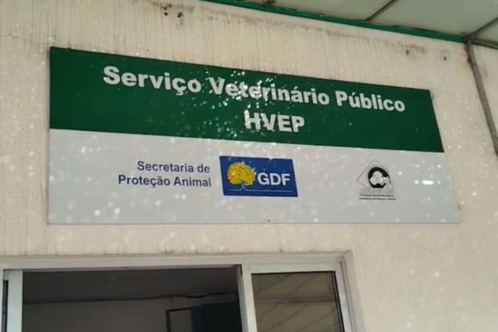 revoltada,-mulher-denuncia-caos-em-hospital-veterinario:-“descaso”