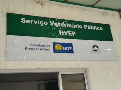 revoltada,-mulher-denuncia-caos-em-hospital-veterinario:-“descaso”