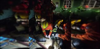 gatinho-morre-apos-incendio-atingir-casa-no-guara-ii