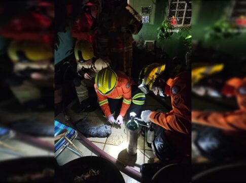 gatinho-morre-apos-incendio-atingir-casa-no-guara-ii