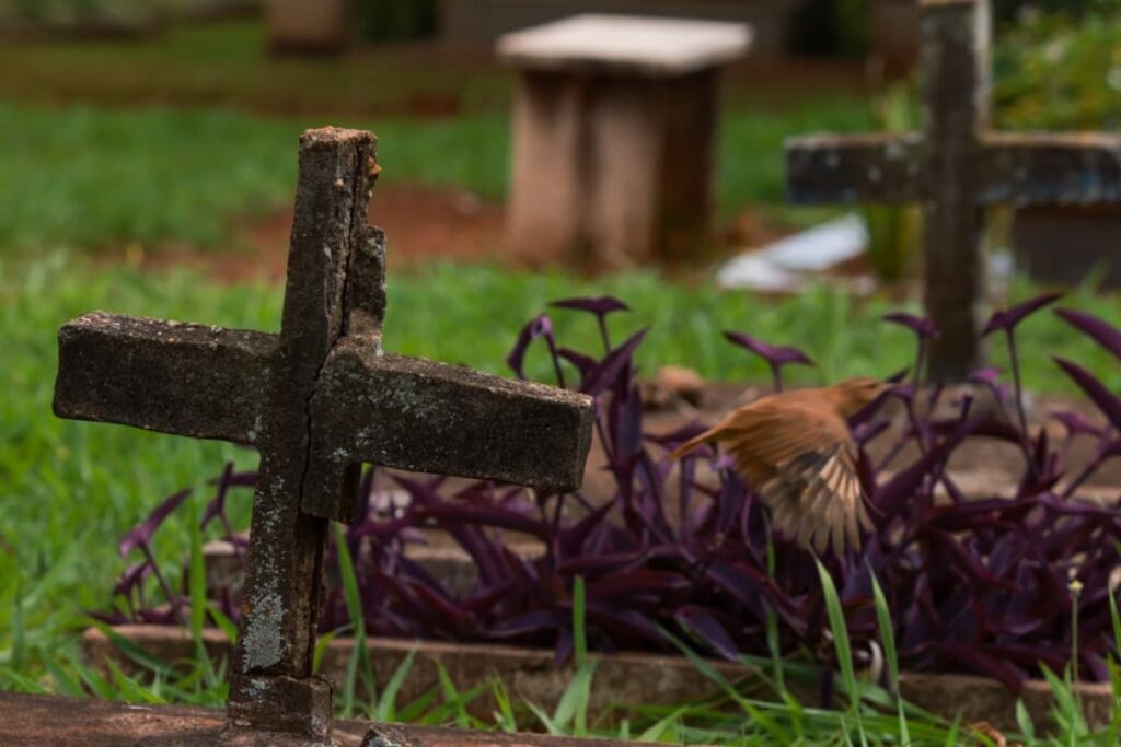 descaso-e-abandono:-cemiterios-do-df-tem-200-mil-tumulos-“esquecidos”