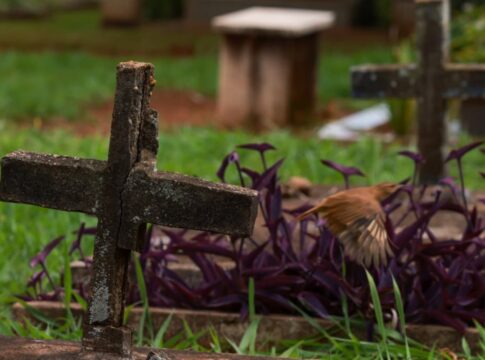 descaso-e-abandono:-cemiterios-do-df-tem-200-mil-tumulos-“esquecidos”