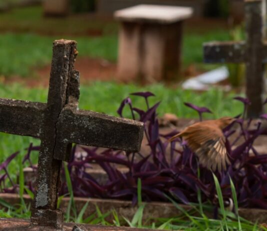 descaso-e-abandono:-cemiterios-do-df-tem-200-mil-tumulos-“esquecidos”