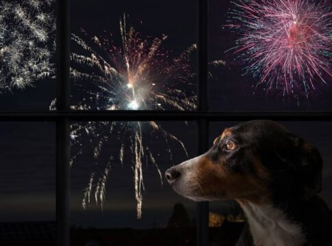 no-df,-soltar-fogos-com-ruido-alto-e-crime;-saiba-como-denunciar