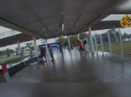 df:-cao-policial-aponta-e-foragido-e-preso-na-rodoviaria