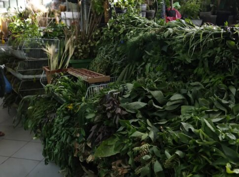 erveiras-se-atualizam-para-atender-a-novas-tradicoes-de-religioes-afro