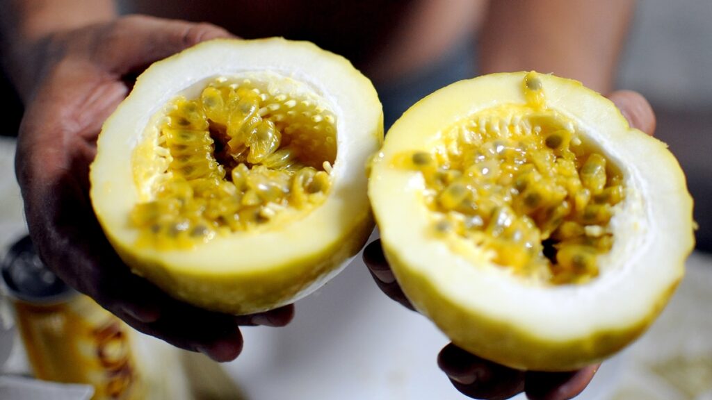 aprenda:-batida-de-maracuja-cremosa-para-brindar-sem-complicacao