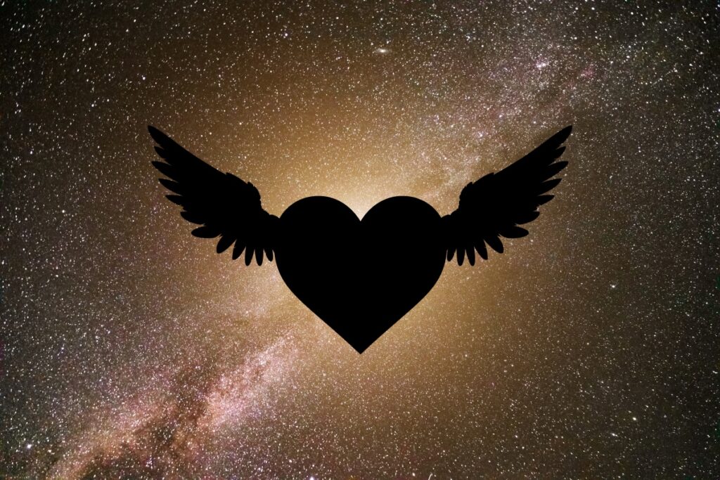 anjo-do-amor:-5-signos-que-voltam-a-se-sentir-verdadeiramente-amados