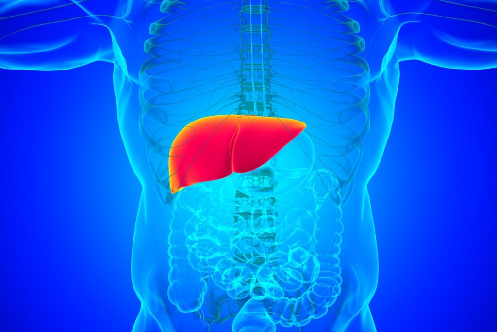 reveillon:-nutricionista-da-dicas-para-nao-sobrecarregar-o-figado