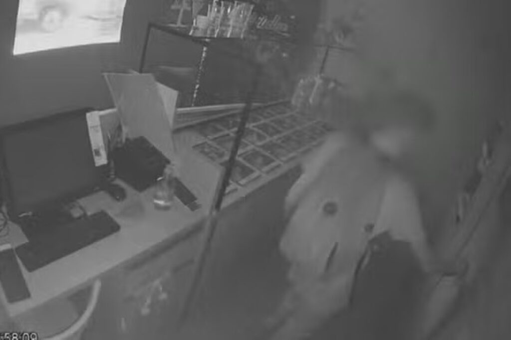 adolescente-e-apreendido-apos-furtar-r$-1-milhao-em-joias-de-loja