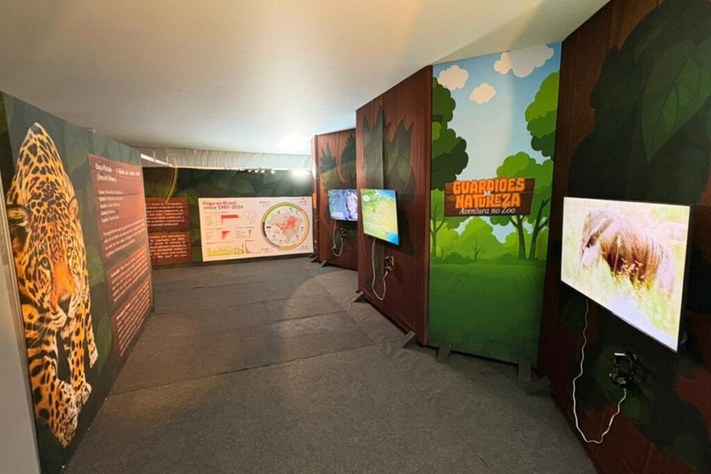 oficinas-infantis,-teatro,-ferias-no-zoo-e-mais:-o-que-fazer-no-df