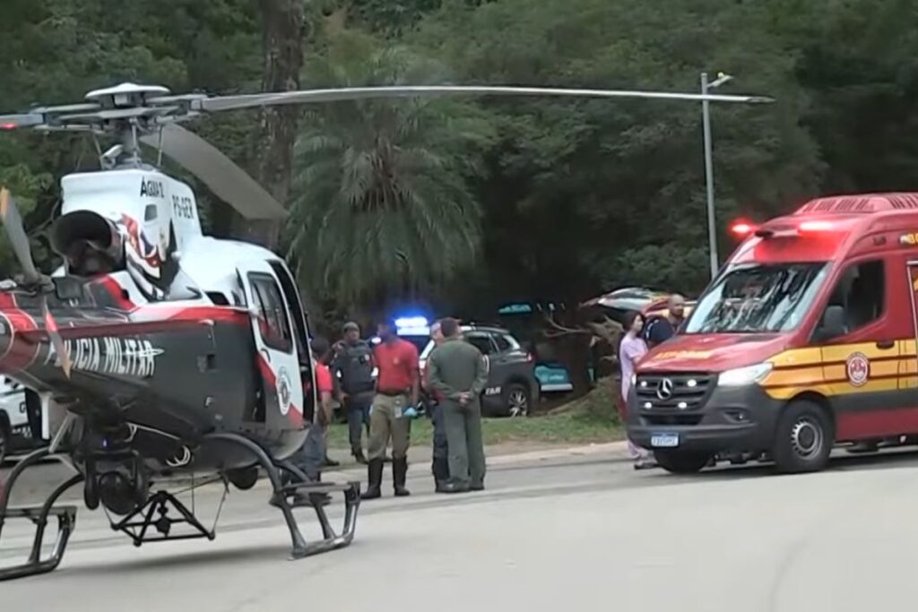 queda-de-arvore-deixa-2-pessoas-feridas-no-parque-ibirapuera
