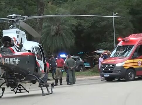 queda-de-arvore-deixa-2-pessoas-feridas-no-parque-ibirapuera
