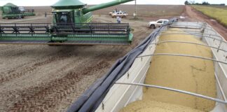 lei-que-pune-participantes-da-moratoria-da-soja-volta-a-valer-em-mt