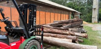 para-onde-vao-as-arvores-de-podas-apos-tempestades-na-cidade-de-sp