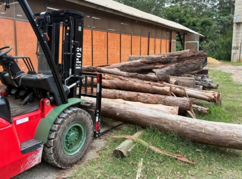 para-onde-vao-as-arvores-de-podas-apos-tempestades-na-cidade-de-sp