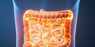 nutri-lista-os-perigos-para-a-saude-de-manter-intestino-inflamado