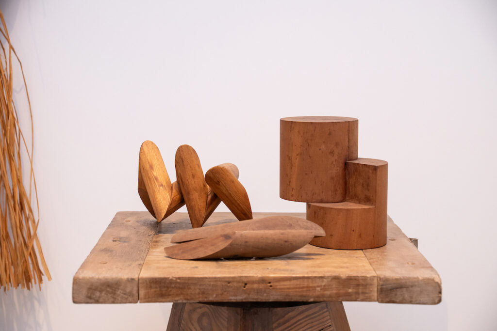 sergio-camargo:-mostra-e-acessivel-e-atrativa-a-todos-os-publicos