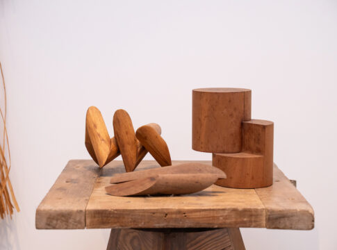 sergio-camargo:-mostra-e-acessivel-e-atrativa-a-todos-os-publicos