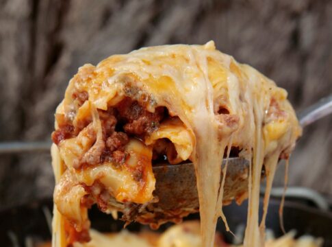 lasanha-de-estrogonofe-de-frango-cremosa-para-o-almoco-em-familia